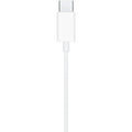 Apple Earpods met USB-C connector Wit