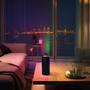 Mobilize 2 in 1 Bluetooth Speakers Zwart