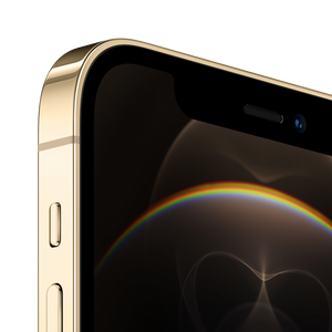 Refurbished iPhone 12 Pro - 256GB - Goud - Grade B